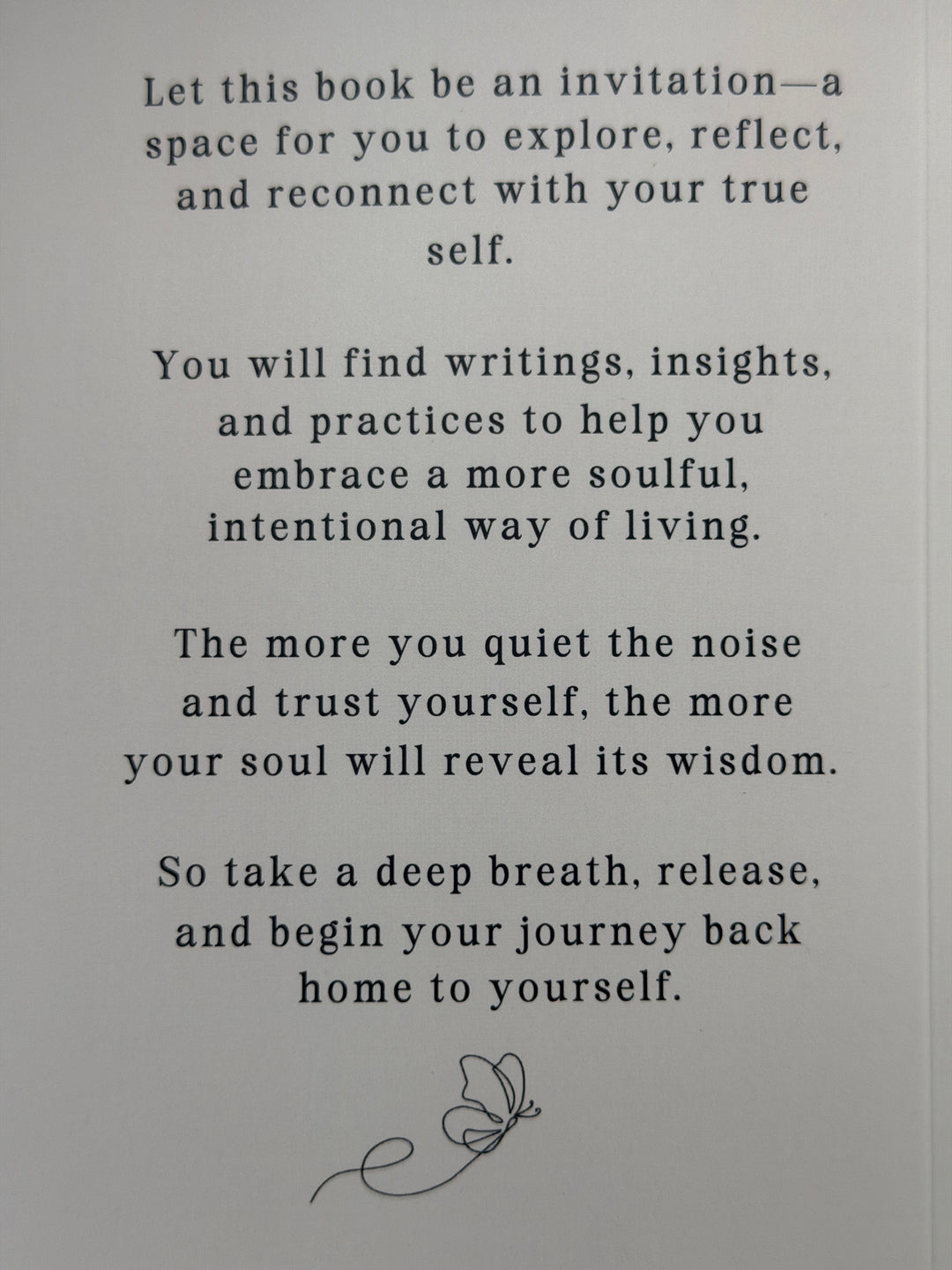 Lessons from My Soul by Bethany DiPetrillo