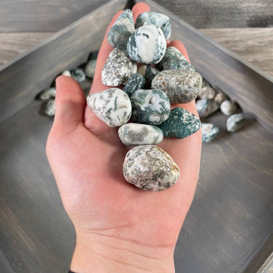 Tree Agate Tumbled Stones bulk crystal lot for grounding and coastal wellness rituals