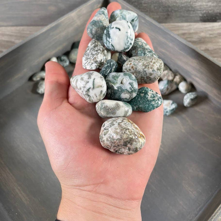Tree Agate Tumbled Stones bulk crystal lot for grounding and coastal wellness rituals