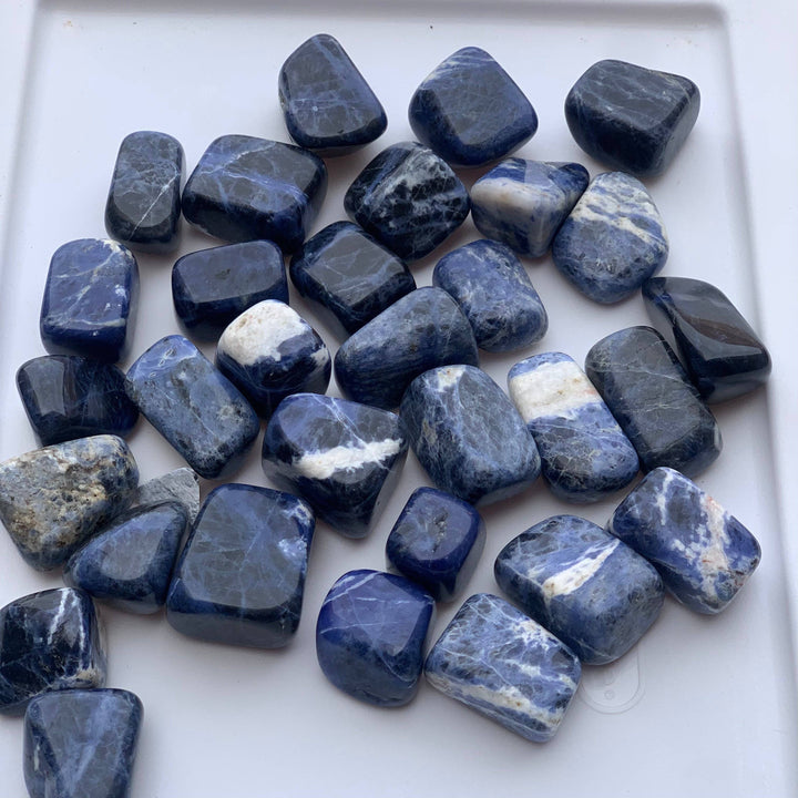 Sodalite 1 inch tumbled stones one pound bag for crystal healing and intuition work