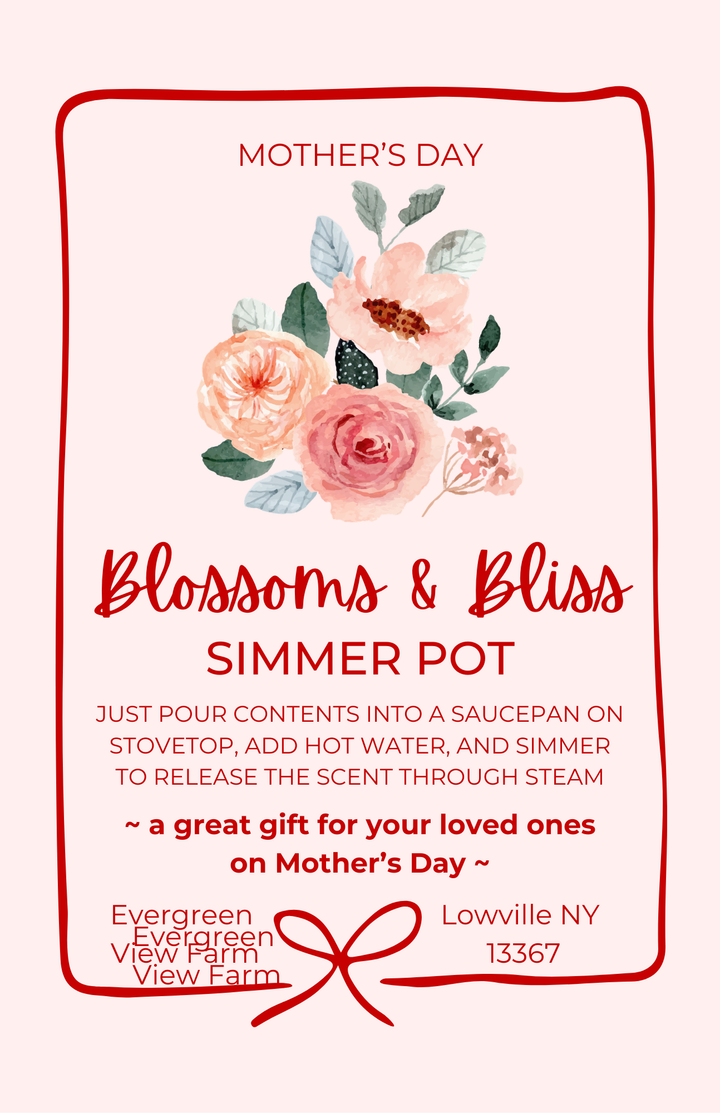 Simmer Pot Kit Floral Botanical Spring Summer Mothers Day