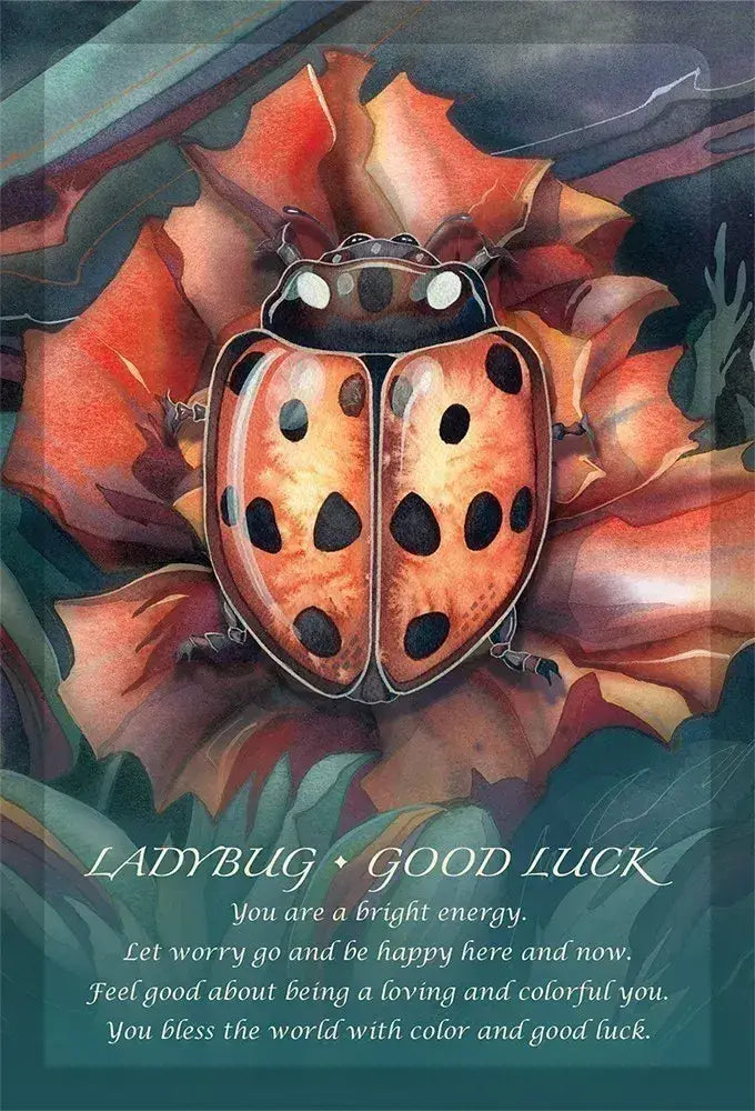Spirit of the Animals Oracle cards for soulful guidance and intuitive connection