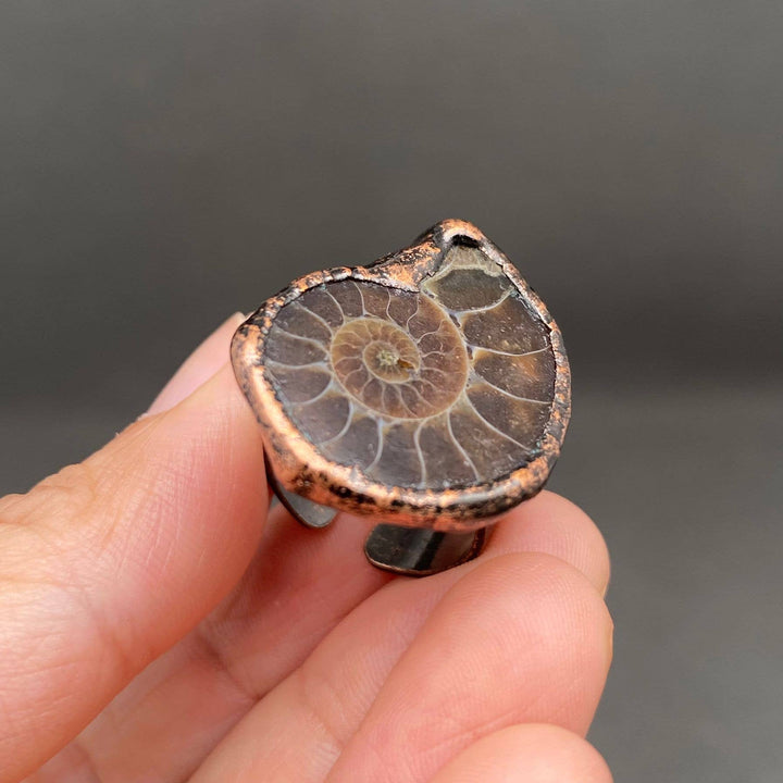 Vintage Ammonite Ring