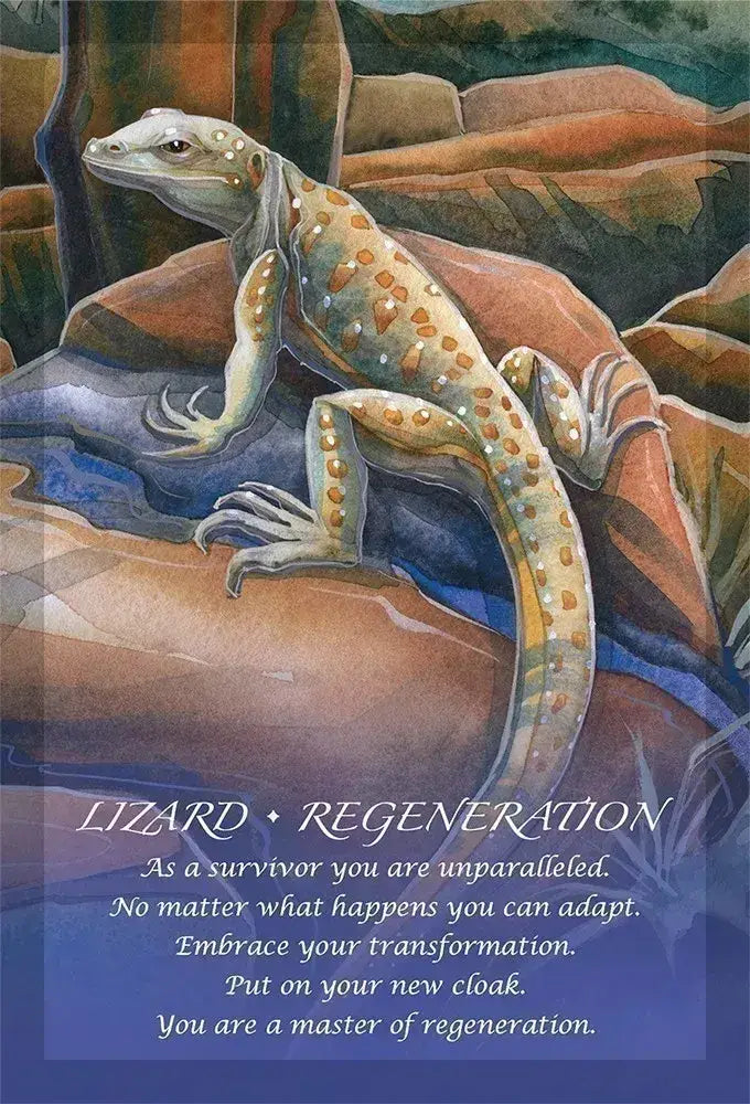 Spirit of the Animals Oracle cards for intuitive guidance and soulful connection