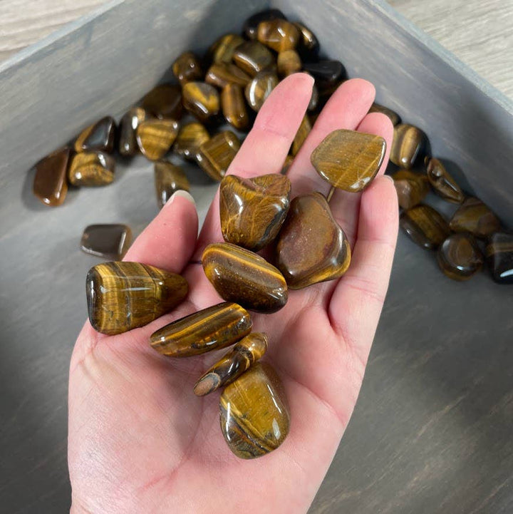 Tiger Eye Tumbled Stones Medium Size 1 LB bulk wholesale for crystal healing