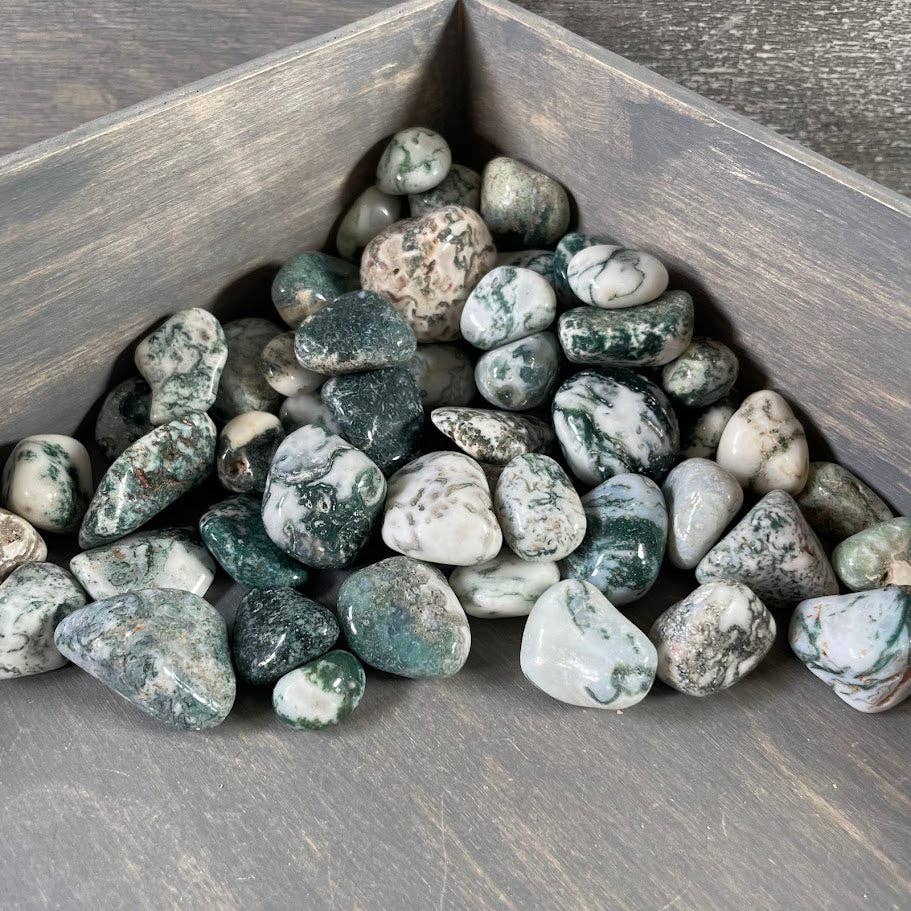 Tree Agate Tumbled Stones bulk crystal lot for grounding and earth energy healing
