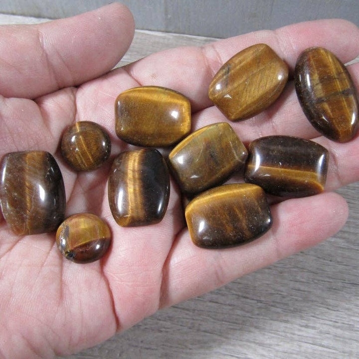 Tiger Eye Cabochon
