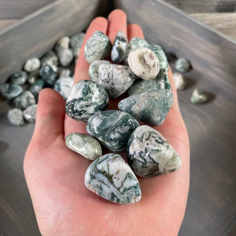Tree Agate Tumbled Stones bulk crystal lot for grounding and earth energy healing