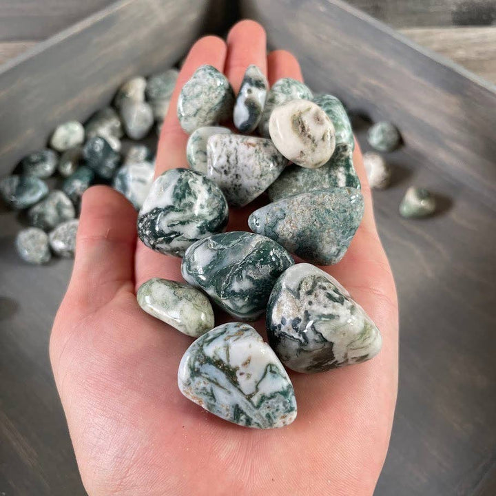 Tree Agate Tumbled Stones bulk crystal lot for grounding and earth energy healing