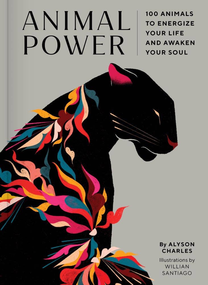 Animal Power hardcover spiritual guide book for meditation and soul awakening