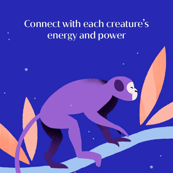 Animal Power Deck oracle cards featuring 75 illustrated animal wisdom and spiritual affirmations