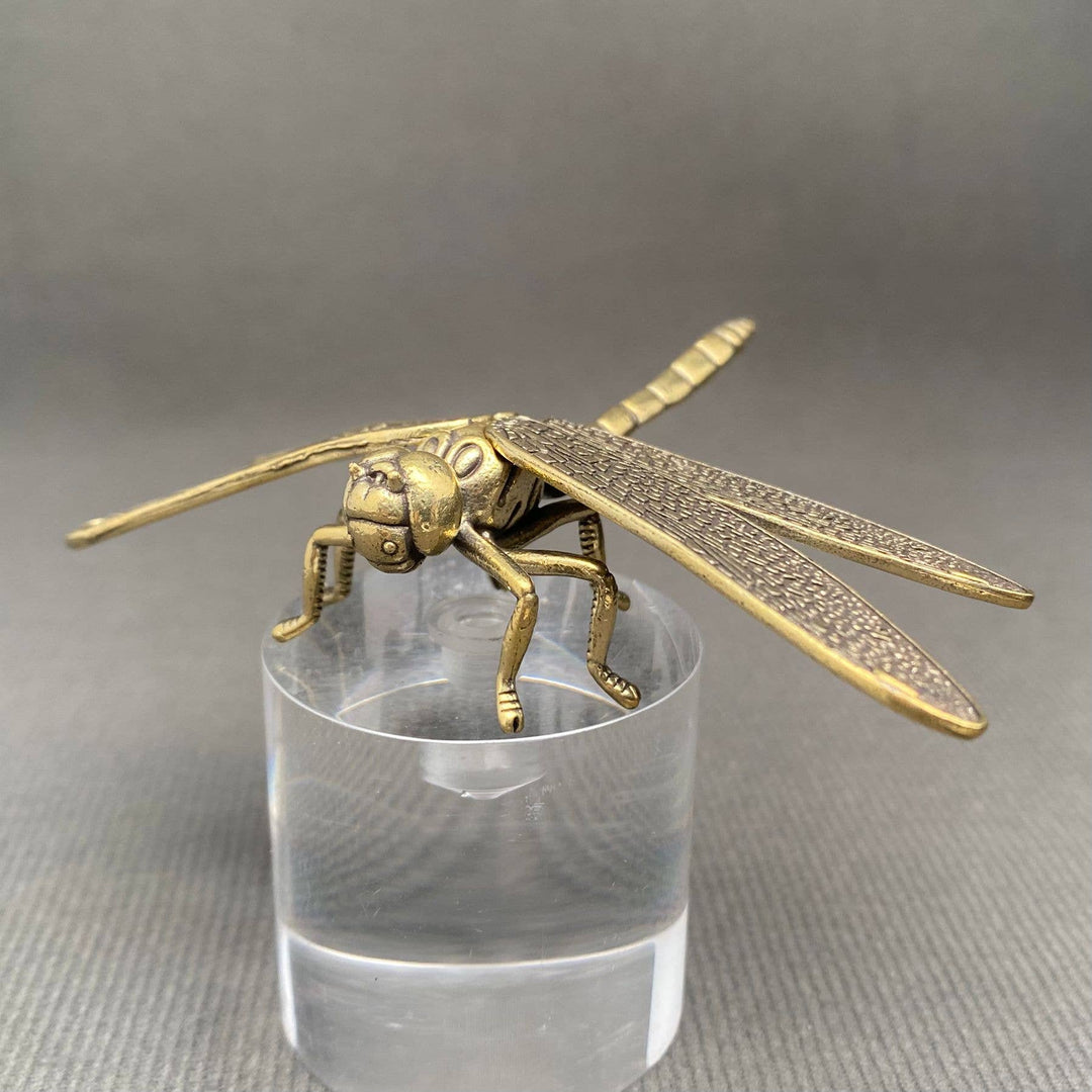 Brass Dragonfly Decoration Desktop Ornament symbolizing transformation and intentional coastal living