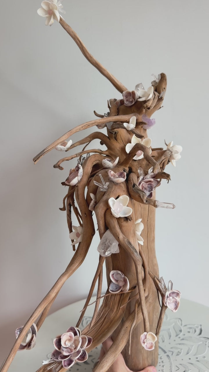 Anchored Soul | Floral Roots