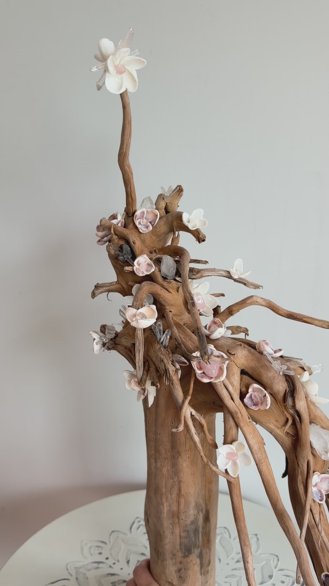 Anchored Soul | Floral Roots